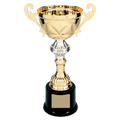 10" Gold Completed Metal Cup Trophy on Plastic Base