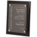 10 1/2" x 13" Black Piano Finish Floating Acrylic Plaque